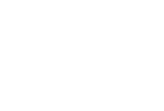 Vector 11 Best® Audio - Loa kéo made in Viet Nam | BestAudio.org